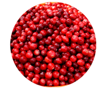 Las frutas de arándano rojo están contenidas en cápsulas de Prostamin, alivian la hinchazón